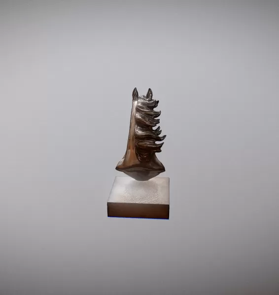 Horse Head - Model preview 4
