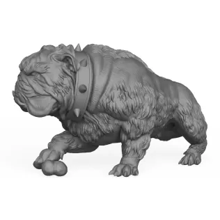 Bulldog Dog