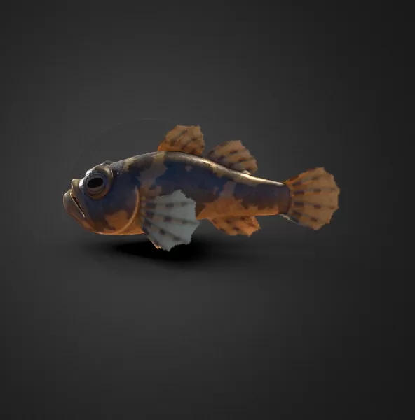 Fish Donko Animal crossing New Horizons - Model preview 3