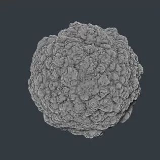 Atomic Bomb Explosion #RoZ - Model thumbnail 6