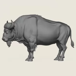 Wild Buffalo Print Ready 3D Model - Model thumbnail 3