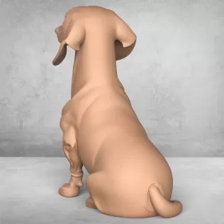 Dachshund Dog - Model thumbnail 2