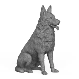 German Shepherd Dog
