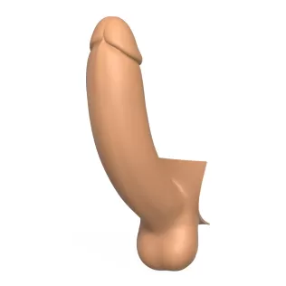 3D Print Ready Penis Erection Stages - Model thumbnail 7