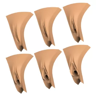 3D Print Ready Vagina Stage Collection - Model thumbnail 9