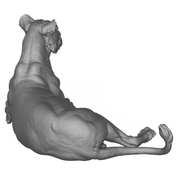 3D Printable Lying Wild Lioness - Model preview 6