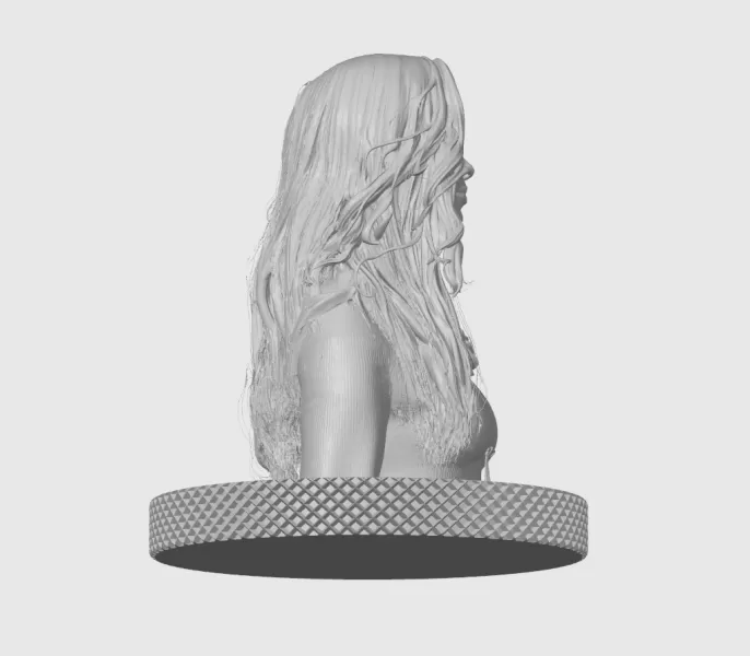 Hilary Swank 3D Bust Print - Model preview 8