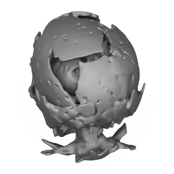 Human Skull 3D Printable Model - Model preview 5