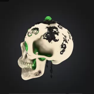 skull - Model thumbnail 3