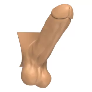 3D Print Ready Straight Erect Penis - Model thumbnail 2