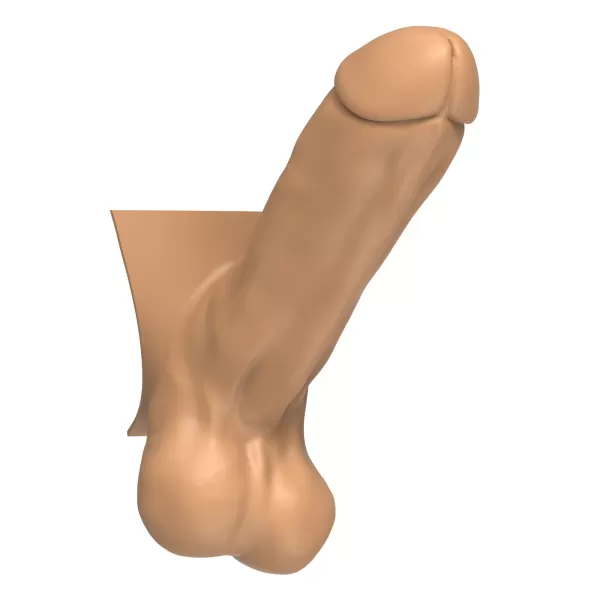 3D Print Ready Straight Erect Penis - Model preview 2