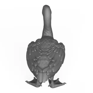 Goose Bird - Model thumbnail 4