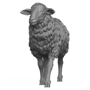 3D Printable Sheep Standing Pose - Model thumbnail 2
