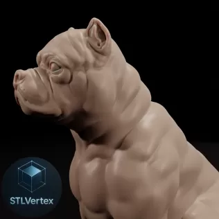 Bull Dog - Model thumbnail 2