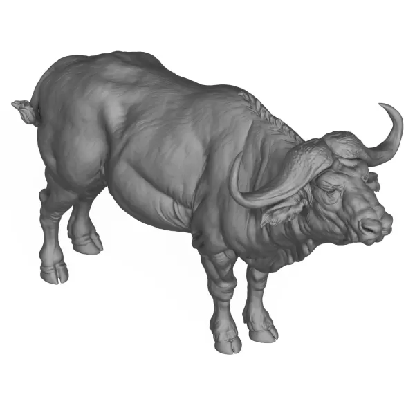 3D Printable Wild Buffalo - Model preview 6