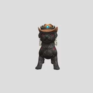 SosoPet - Model thumbnail 2