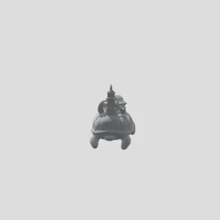 Castle on a Turtle