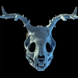 Druid skull mask that fits a human face. - Model thumbnail 2