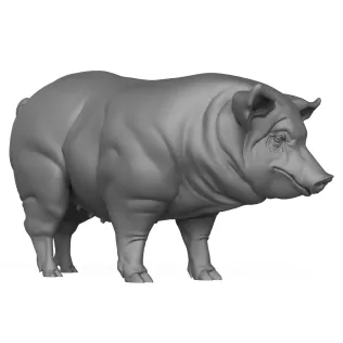 3D Printable Pig Hog Pet Animal - Model thumbnail 4