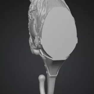 ✅ STL File Description – Steampunk Horse Wall Hook - Model thumbnail 4