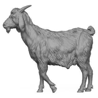 3D Printable Goat - Model thumbnail 3