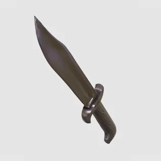 Bowie Knife #RoZ