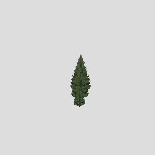 Fluffy Pine Trees - Model preview 2