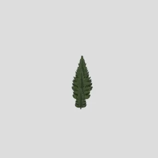 Fluffy Pine Trees - Model thumbnail 2