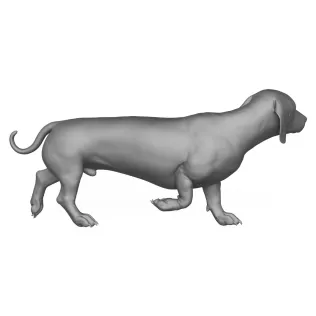 Dachshund Dog 3D Print Model - Model thumbnail 6