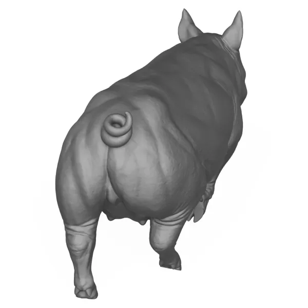3D Printable Pig Walking Pose - Model preview 7