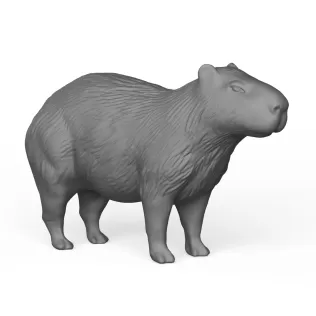 Capybara