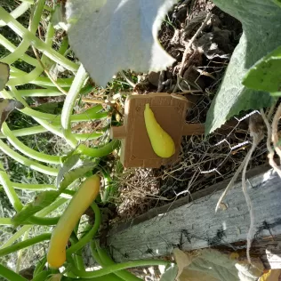 Garden Sign and Attachments - Model thumbnail 2