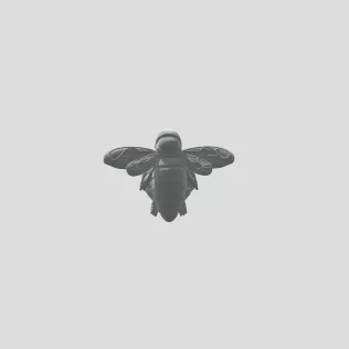 Golden Bee