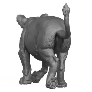 3D Printable Lion Cub - Model thumbnail 5
