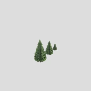 Fluffy Pine Trees