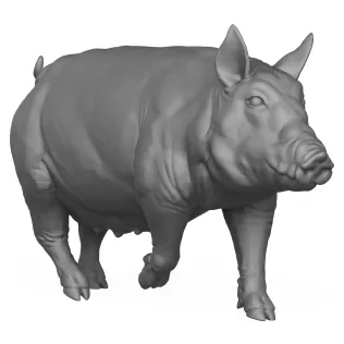 3D Printable Pig Walking Pose - Model thumbnail 5