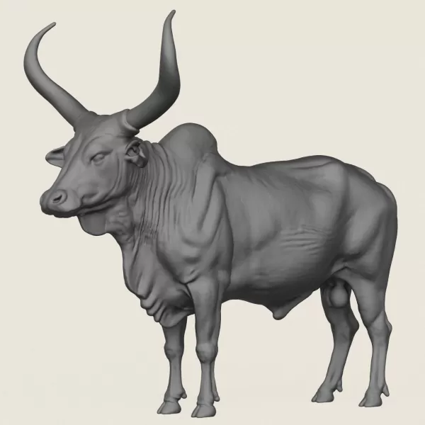 Indian Bull Print Ready 3D Model - Model preview 1