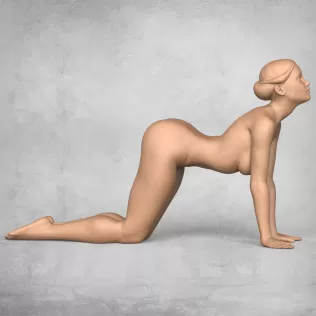 Yoga Female Pose Collection - Model thumbnail 10