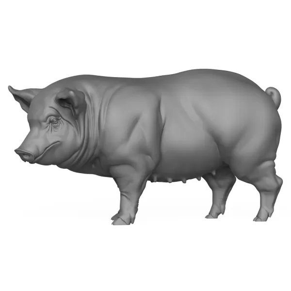3D Printable Pig Hog Pet Animal - Model preview 1