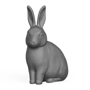 Rabbit