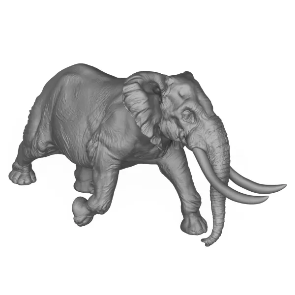 3D Printable Elephant Attack Pose - Model preview 5
