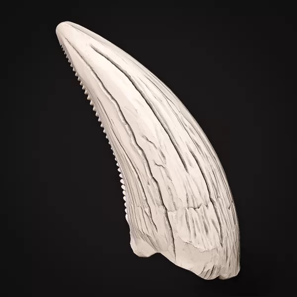 T-Rex Tooth #RoZ - Model preview 5