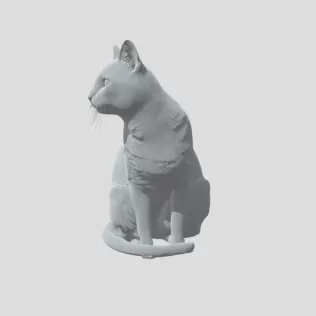 Cat 02 - Model thumbnail 3
