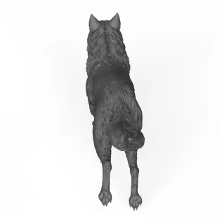 Wild Wolf - Model thumbnail 4