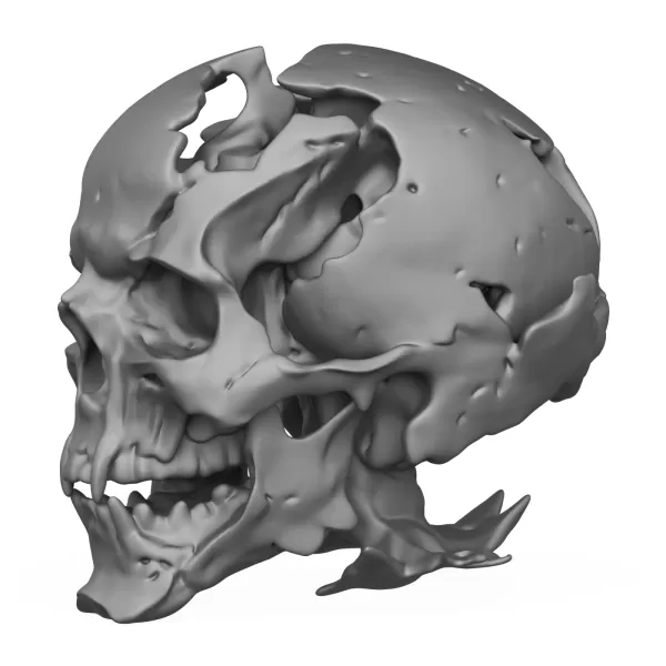 Human Skull 3D Printable Model - Model preview 3