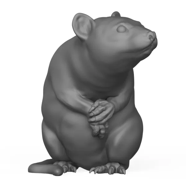 Rat Animal Pose - Model preview 2