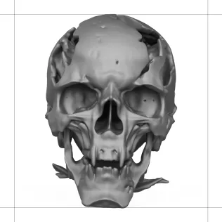 Human Skull 3D Printable Model - Model thumbnail 2