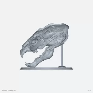 Fantasy Beast Skull Display with Stand - STL - Model thumbnail 3