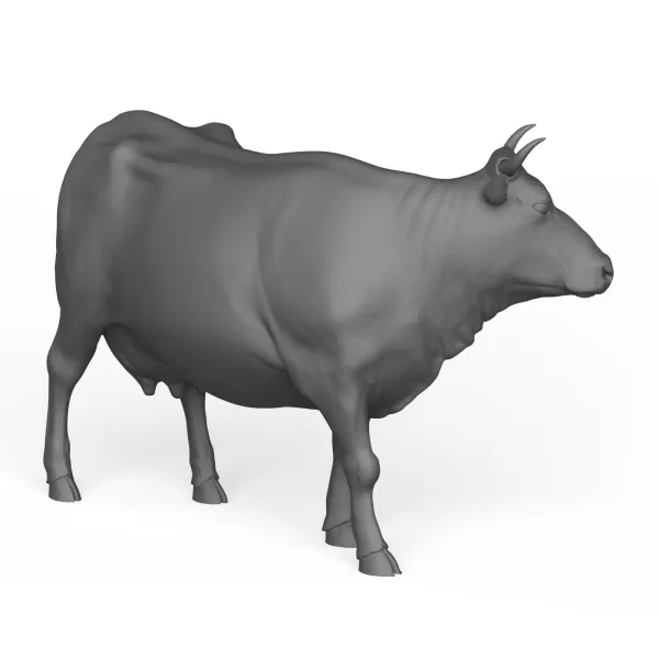 Cow - Model preview 5