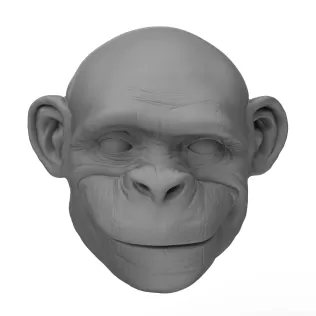 3D Printable Chimpanzee Face